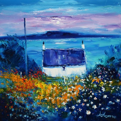 Evening Gloaming Back Garden Flowers Iona 20x20
